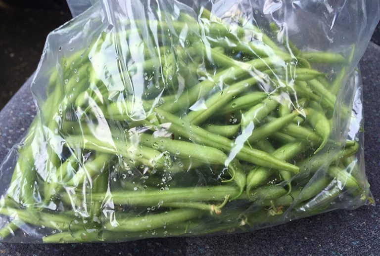 green-beans-g43a26f92f_1920