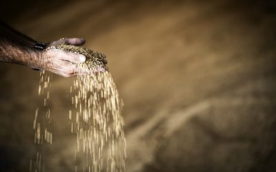 hand-4167282_960_720