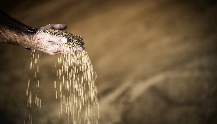 hand-4167282_960_720