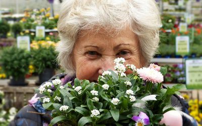 woman-4792038_960_720