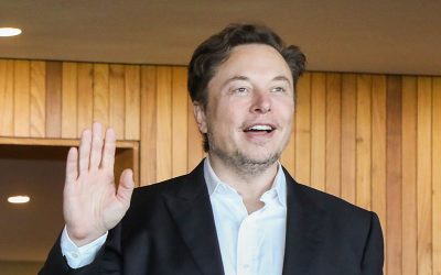 52095930501_a40b635730_6k