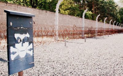 5407415443_1f2e421e44_c