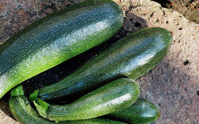 courgettes-1609888_1920