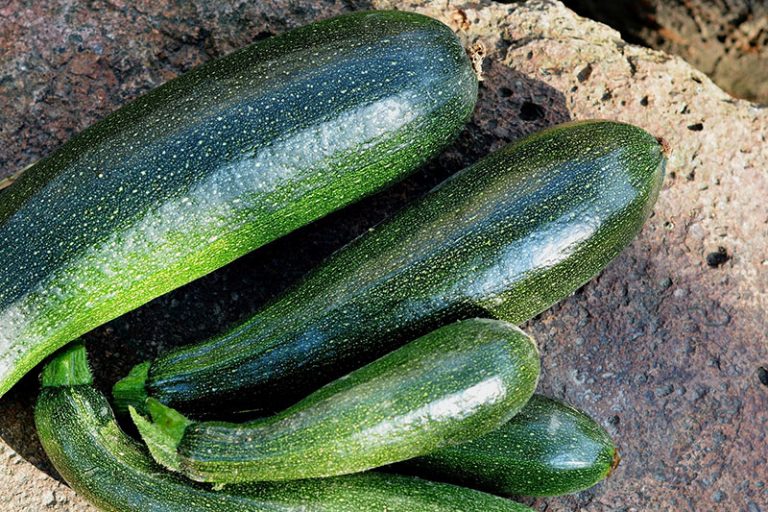 courgettes-1609888_1920