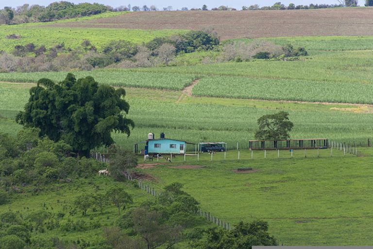 fields-6648069_1920