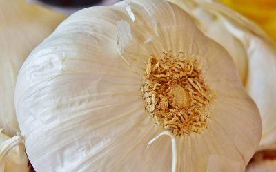 garlic-3617113_960_720