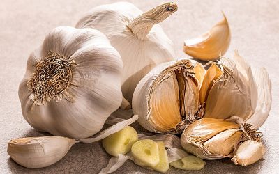 garlic-gc0a035871_1920