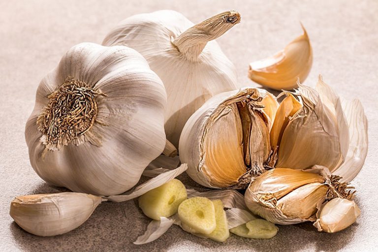 garlic-gc0a035871_1920