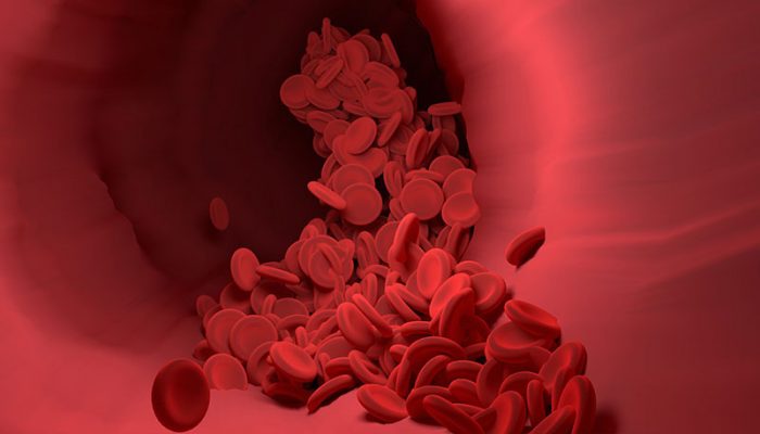 red-blood-cells-4256710_1920