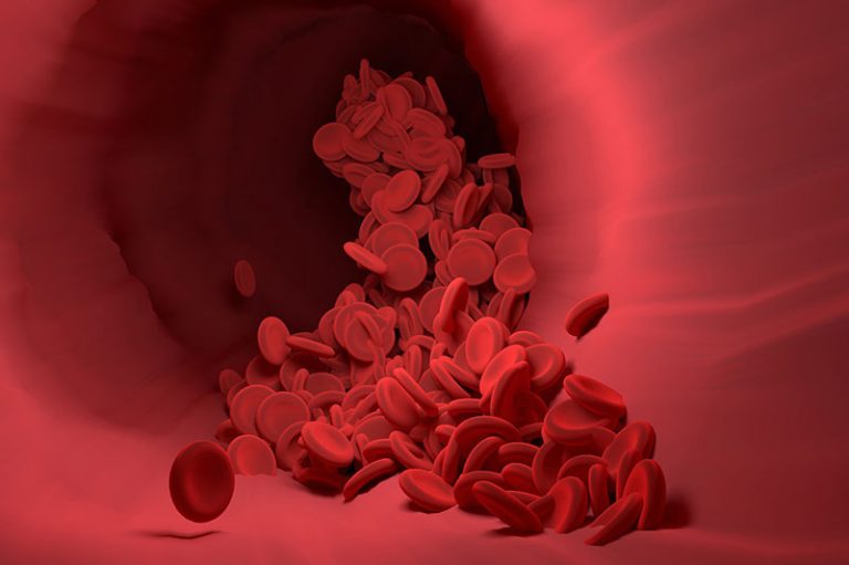 red-blood-cells-4256710_1920