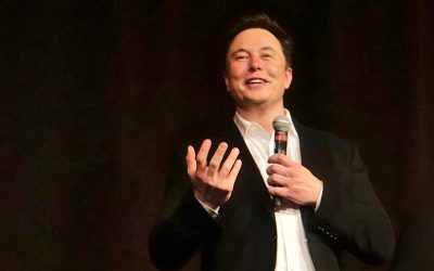 48046466387_0288ee702a_o