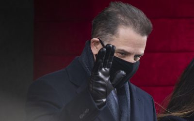 50861338907_429217d76b_k