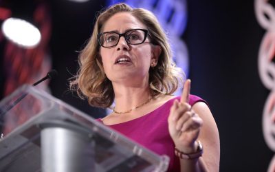 52005557873_d81a6f6c18_c