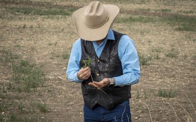 52101988966_a445f1d152_c