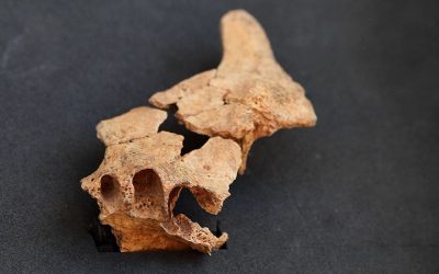 ISLAZW5XJNG33CU364C5VGQN2I