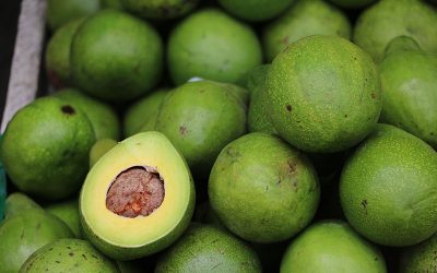 avocado-gefda3abd4_1920
