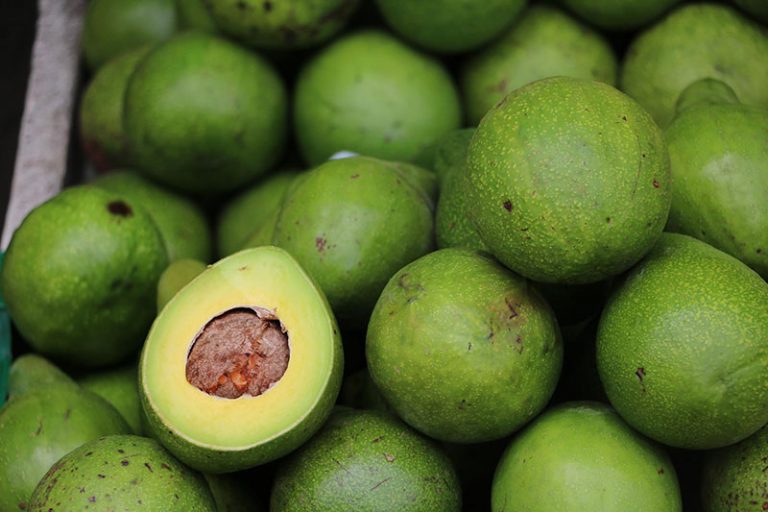avocado-gefda3abd4_1920