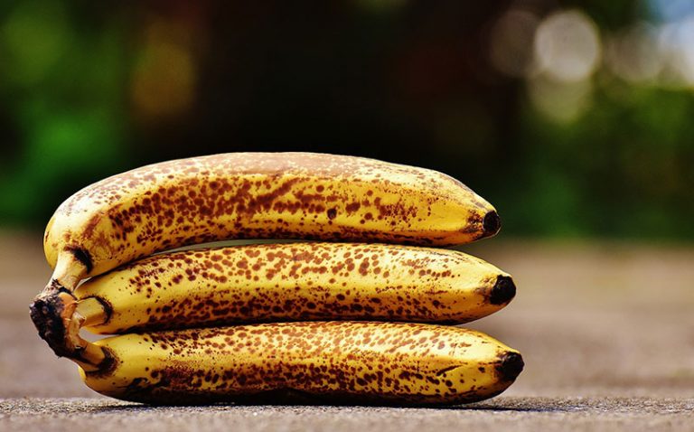 bananas-g38afc7a8d_1920