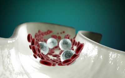 blood-cells-6974700_960_720