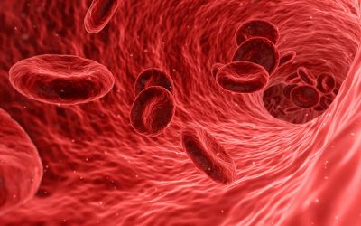 blood-g3c8efe1d8_1920