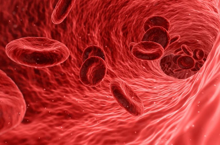 blood-g3c8efe1d8_1920