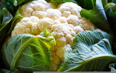 cauliflower-5538616_960_720
