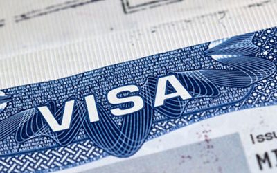 10082092_0_0_1300_732_0_large