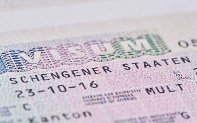 51379030648_0735256325_c