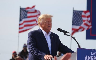 52043857563_d7a1a21267_c