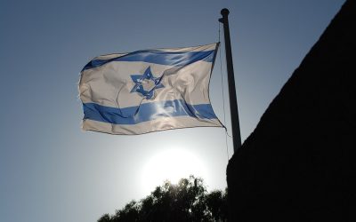 3654658336_1825c8b133_c