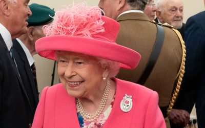 48012271451_965239e139_o