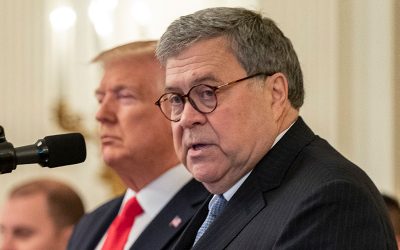 48707665328_efc966e740_o