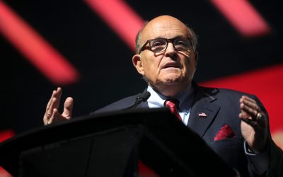 49275929798_884fb8cb26_c