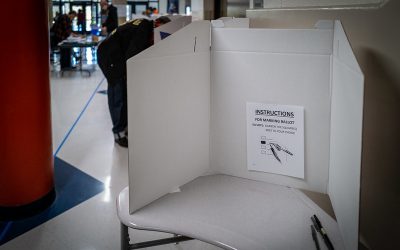 50564392191_c7e39273fc_c