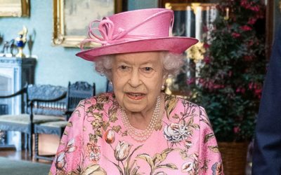 51269148664_11d0f2fcf0_o