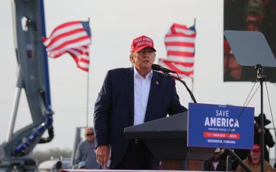 52043862533_5f00515d68_c