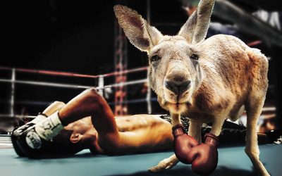 boxing-g712c3bad2_1920