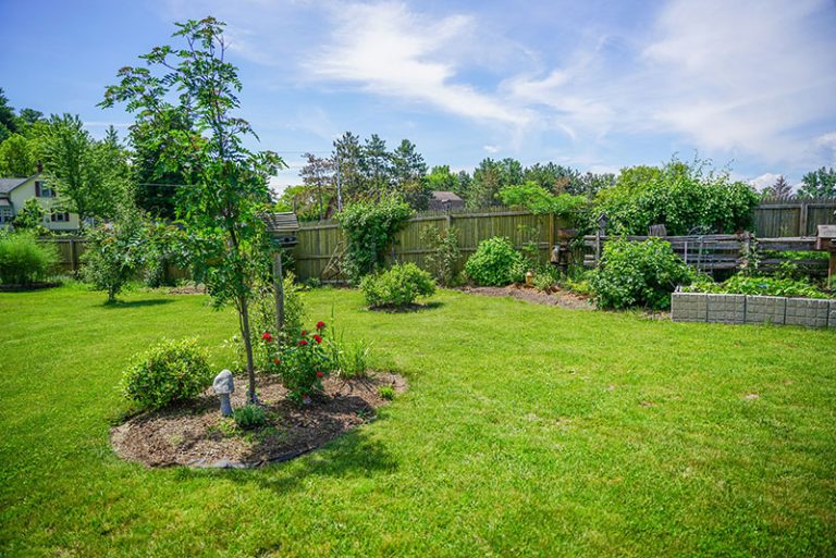 landscape-7380474_1920