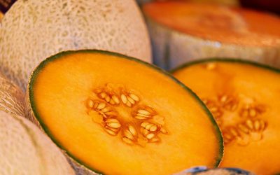 melon-g0d7775007_1920