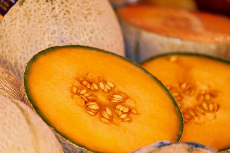 melon-g0d7775007_1920