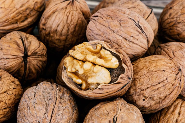 nuts-g97cf0e56d_1920