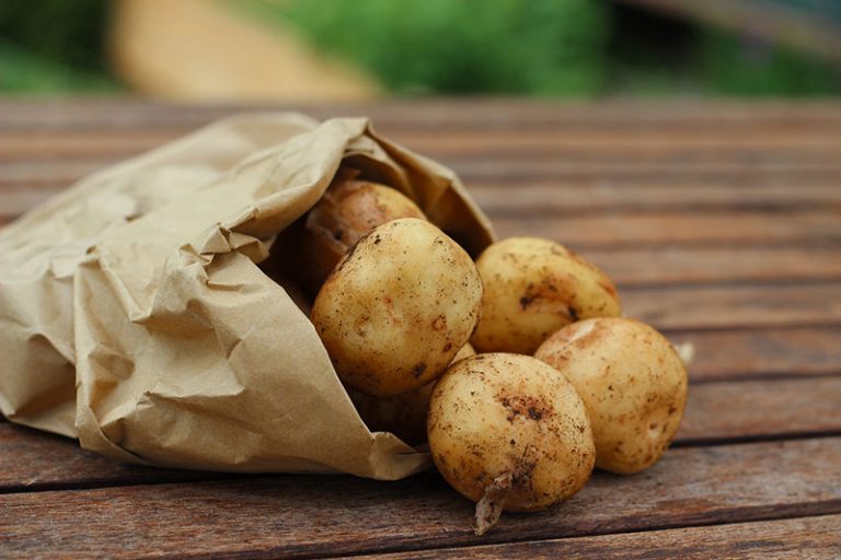 potatoes-888585_1920