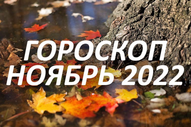 гороскоп рак ноябрь 2022