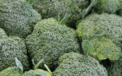 broccoli-1076652_960_720