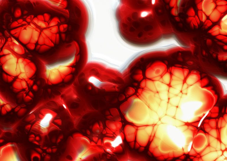 cells-gf25521117_1920