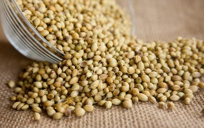 coriander-166990_960_720