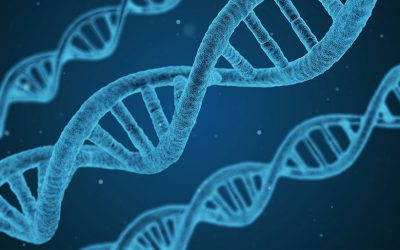 dna-g5d3d8cc3f_1920