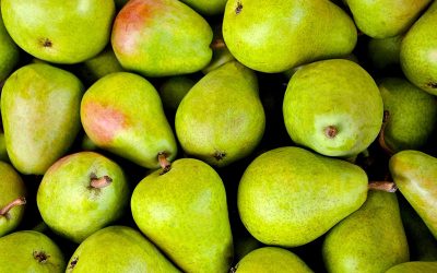 fruits-gde8480942_1920