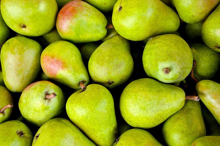 fruits-gde8480942_1920