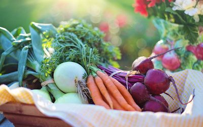 vegetables-gbedb5b2a6_1280